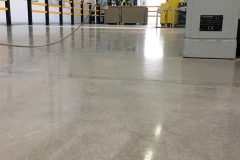 Cristallizzazione del calcestruzzo - colorflooring