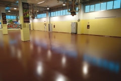 Settore Alimentare Rivestimento e pavimento - color flooring