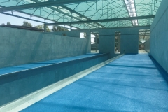 Pavimento Industria Alimentare - Color Flooring