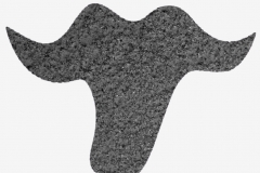 Resina Antiscivolo per Caseifici ed aziende Zootecniche - Color Flooring