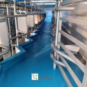 Color Flooring - Pavimenti in resina per Caseifici ed Industrie Zootecniche