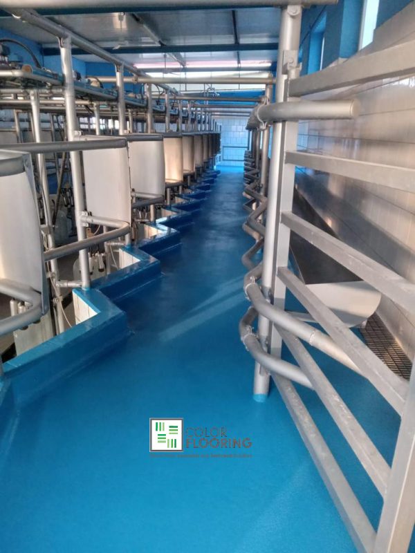 Color Flooring - Pavimenti in resina per Caseifici ed Industrie Zootecniche